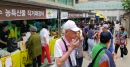의성군, 서울 조계사에서 농특산물 우수성 홍보 