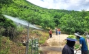 의성군, 여름철 산림병해충 예찰 방제에 총력 